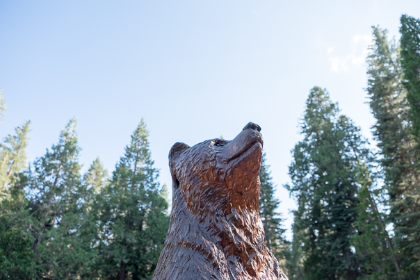 The U.C. Berkeley bear stood watch over the festivities.