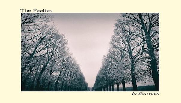 The Feelies, In Between