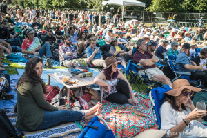 Hardly Strictly Bluegrass