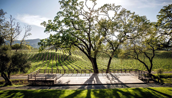 B.R. Cohn, Sonoma Harvest