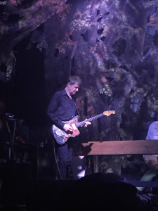 Nels Cline, Wilco