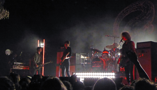 Catfish and the Bottlemen, Van McCann