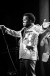 Lee Fields and the Expressions, Lee Fields