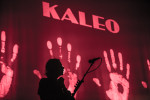 Kaleo