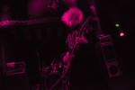 The Melvins