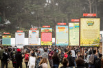 Outside Lands