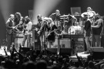 Hard Working Americans, Tedeschi Trucks Band