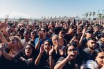 Blurry Vision Fest, Fans