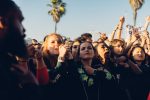 Blurry Vision Fest, Fans