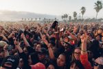 Blurry Vision Fest, Fans