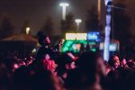 Blurry Vision Fest, Fans