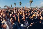 Blurry Vision Fest, Fans