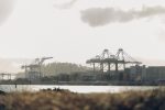 Blurry Vision Fest, View of the Bay