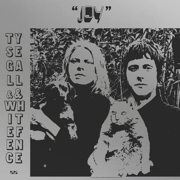 Ty Segall, White Fence, Joy