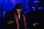 Little Steven, Little Steven & The Disciples of Soul, Steven Van Zandt