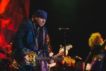 Little Steven, Little Steven & The Disciples of Soul, Steven Van Zandt