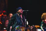 Little Steven, Little Steven & The Disciples of Soul, Steven Van Zandt