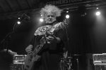 The Melvins