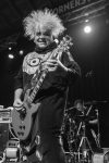 The Melvins