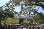 CeeLo Green, Sonoma Harvest Music Festival, BR Cohn