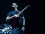 The Dave Mathews Band, DMB