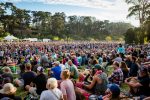 Hardly Strictly Bluegrass