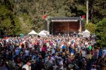 Hardly Strictly Bluegrass