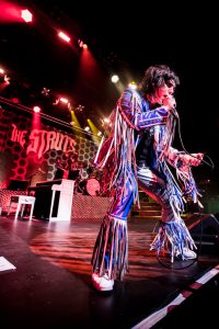 The Struts