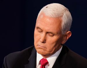 Mike Pence, Mike Pence fly