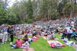 Stern Grove Festival, crowd