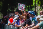 Stern Grove Music Festival