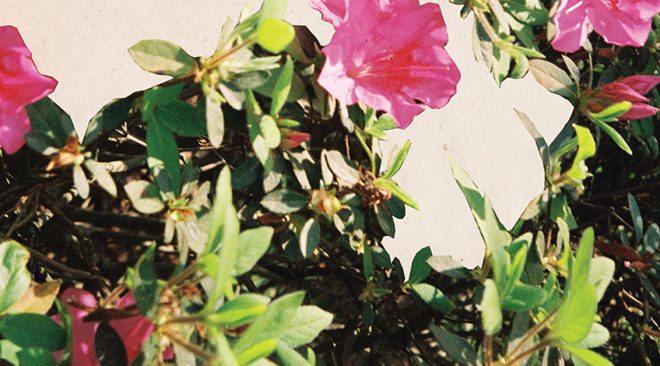 REVIEW: New Found Glory 'Make the Most of It' on acoustic record