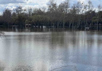 Sacramento's Sol Blume festival postponed to August because of flooding from winter storms