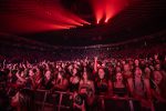 The audience enjoying Greta Van Fleet