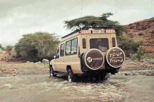 Tanzania, Easy Travel, safari vehicle