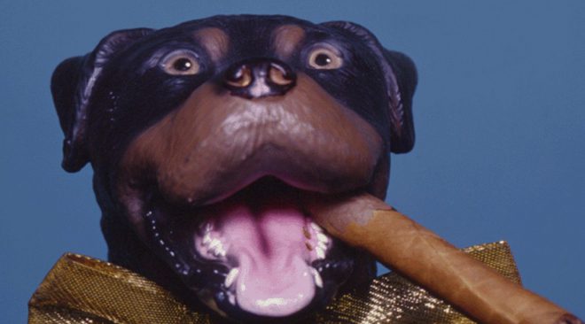 Triumph the Insult Comic Dog poops on Weird Al at SF Sketchfest