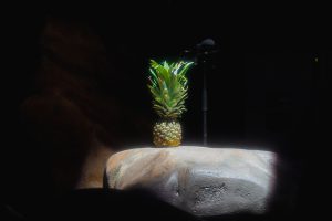 Glass Animals pineapple