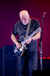 David Gilmour