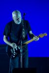 David Gilmour