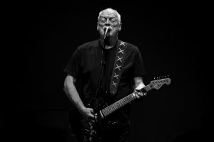 David Gilmour