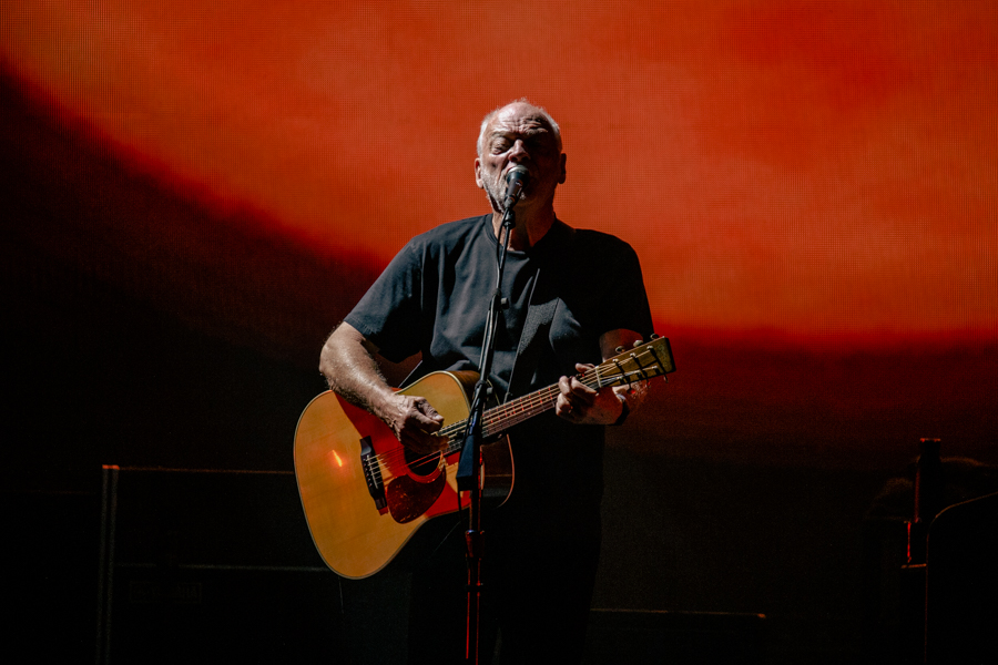 David Gilmour