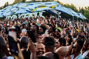 crowd, South Africa concert