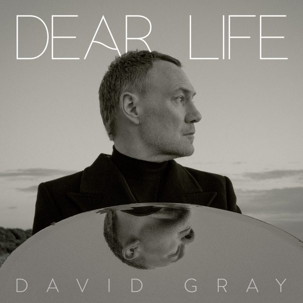 David Gray Dear Life