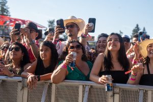 Festival La Onda, Crowd, music festival