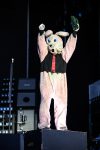 Punk Bunny, Green Day